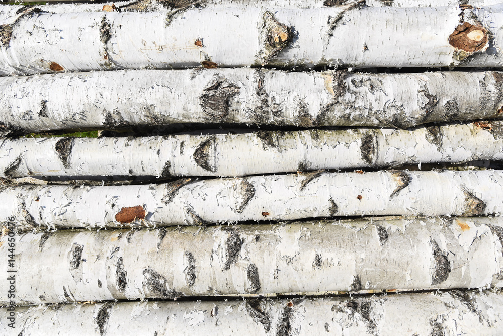 Naklejka premium Birch fire wood