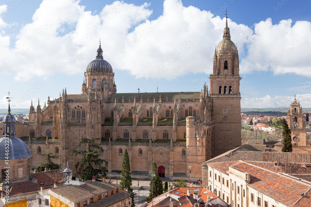 Salamanca Cathedral seen from La Clerecia, Spain