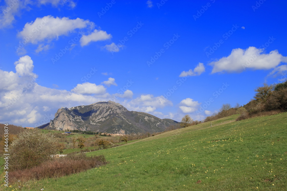 Pic de Bugarach dans les Corbières, Occitanie dans le sud de la France