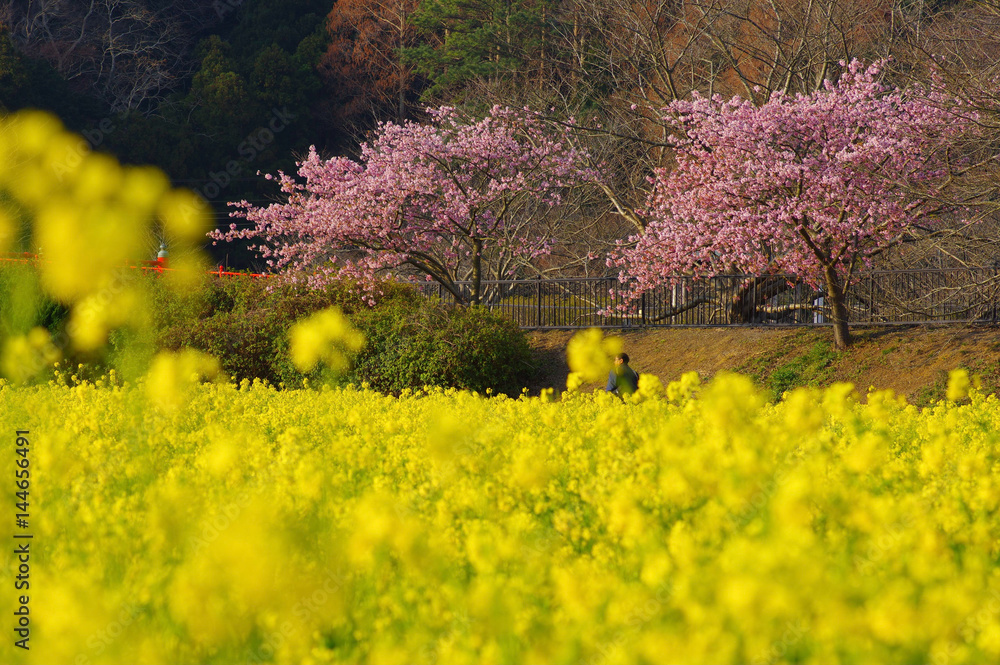One spring day