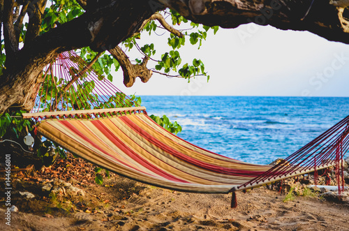 A hammock near the ocean