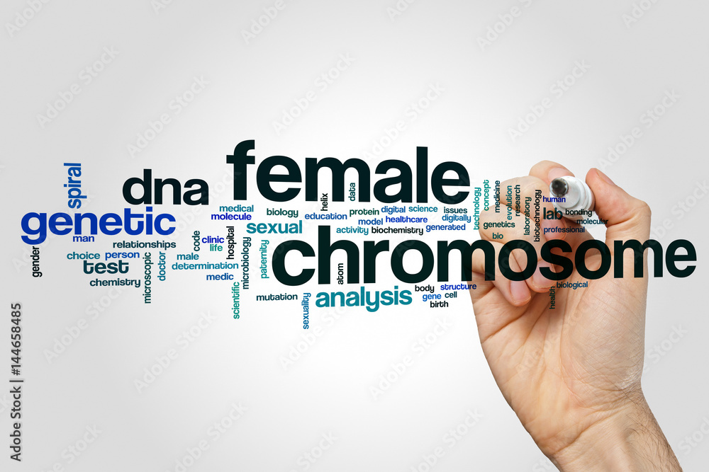 Female chromosome word cloud concept on grey background Female chromosome word cloud concept on grey background