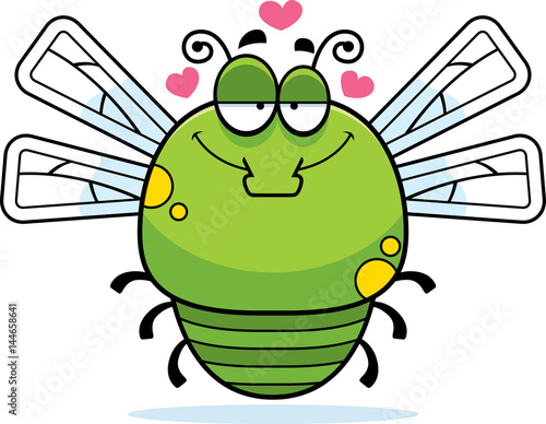 Little Dragonfly in Love
