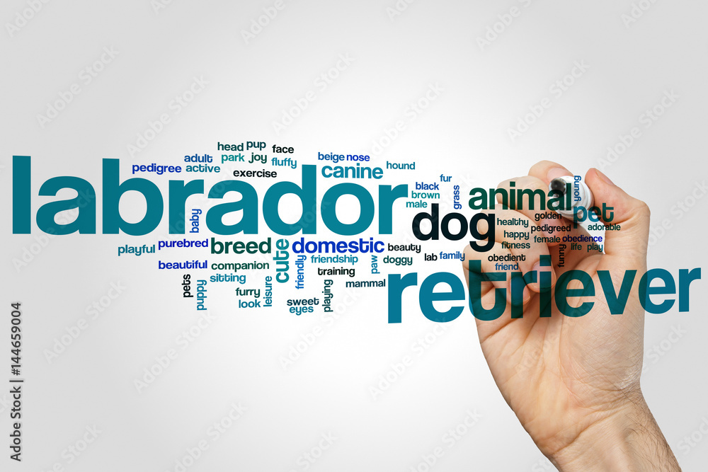Labrador retriever word cloud concept Labrador retriever word cloud concept