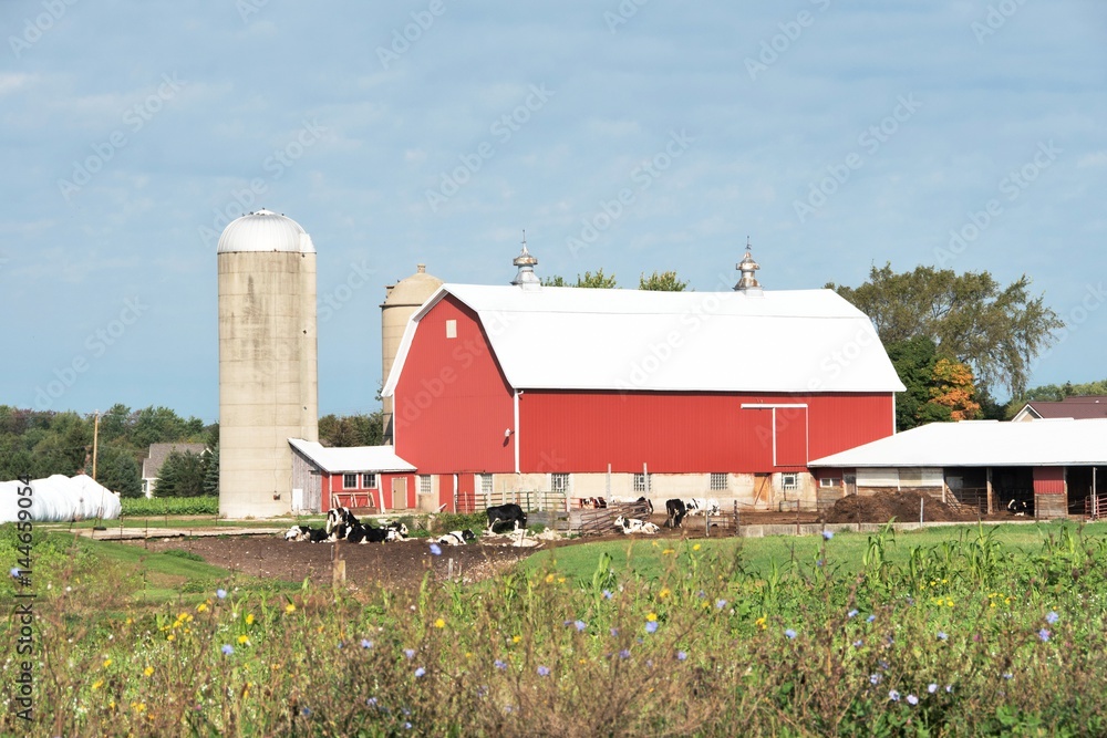 Red Barn Red Barn