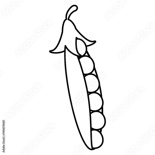 peapod food healthy image outline vector illustration eps 10
