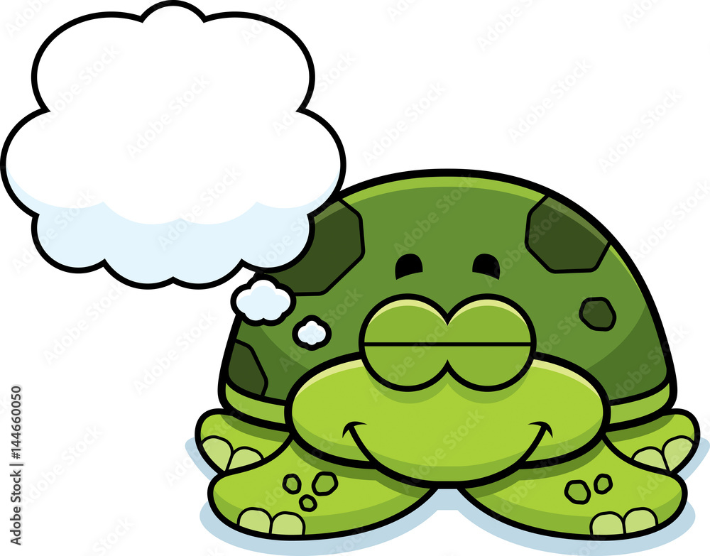 Dreaming Little Sea Turtle Dreaming Little Sea Turtle