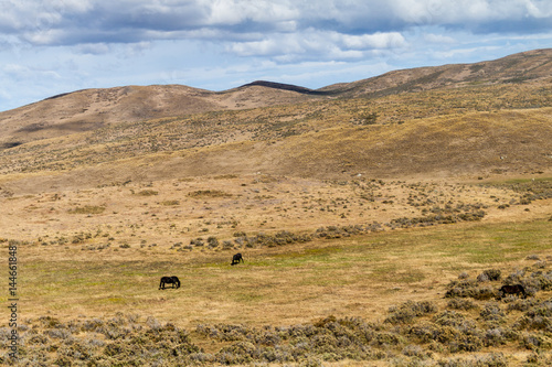 Countryside of Tierra del Fuego island, Chile © Matyas Rehak