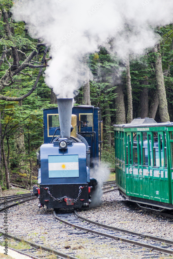 Obraz premium Tourist steam train in National Park Tierra del Fuego, Argentina
