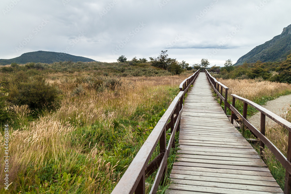 Boardwalk in National Park Tierra del Fuego, Argentina
