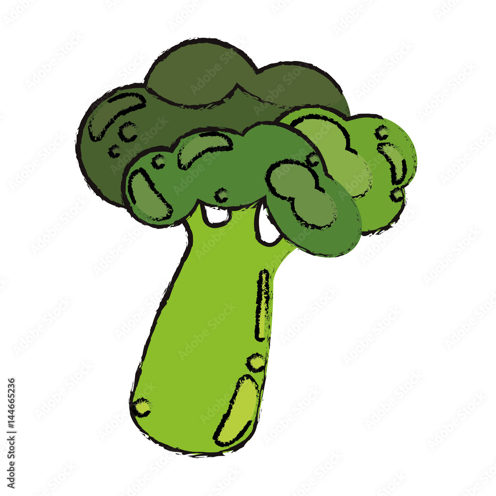 broccoli food diet healthy vector illsutration eps 10 broccoli food diet healthy vector illsutration eps 10
