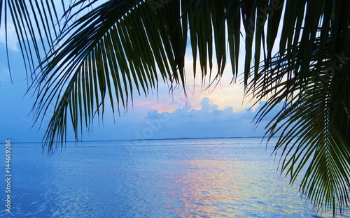 Fototapeta Naklejka Na Ścianę i Meble -  Beautiful sunset out over the ocean through palm trees