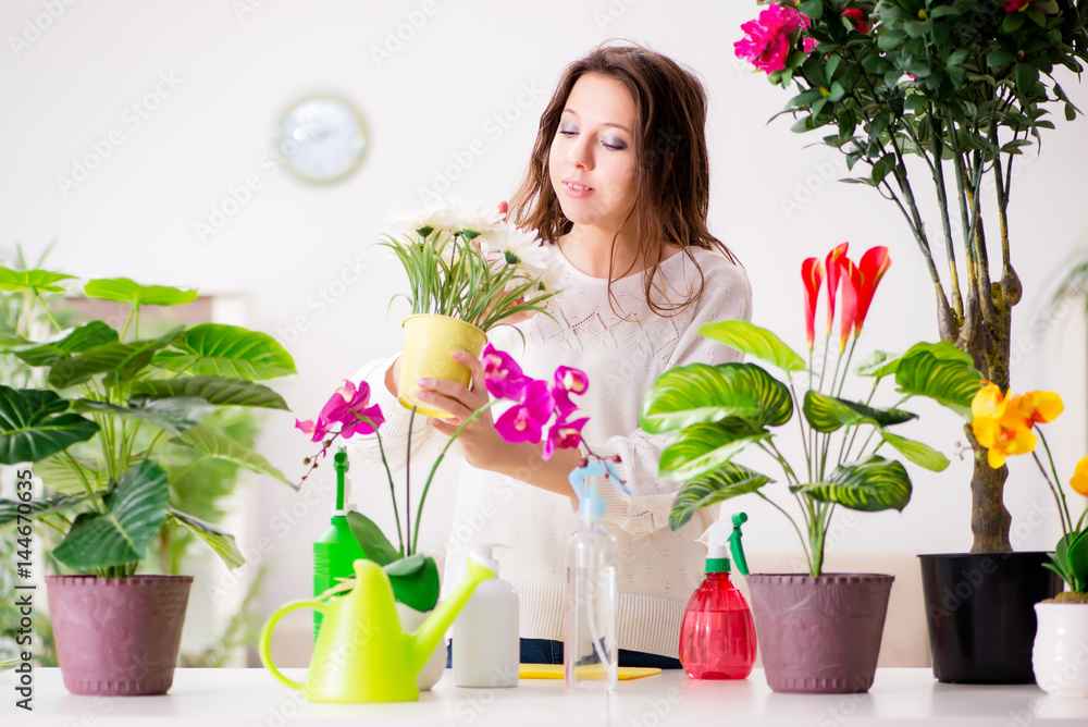 Young woman looking after plants at home