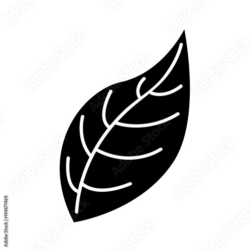 leaf plant decorative isolated icon vector illustration design