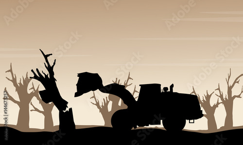 damaged forest bad environment scenery silhouette