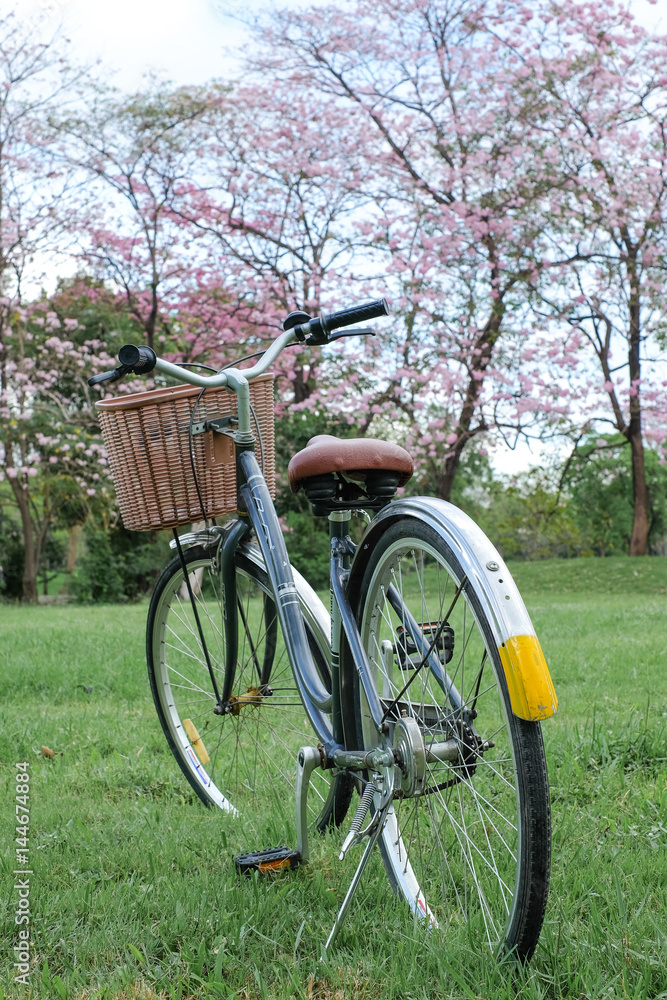 Old vintage steel bicycle in beautiful park