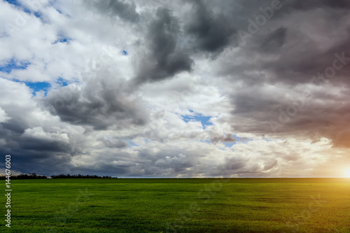 Beautiful rich wheat field before rain with dramatic clouds. © yelantsevv