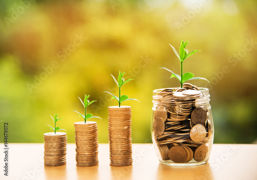 Money Business success growing concept,Trees  on pile of coins money over sun flare silhouette tone.