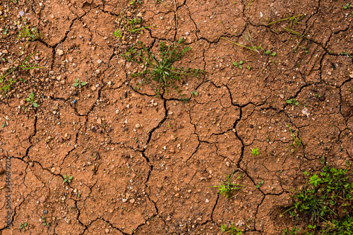 Dry land texture, background image.