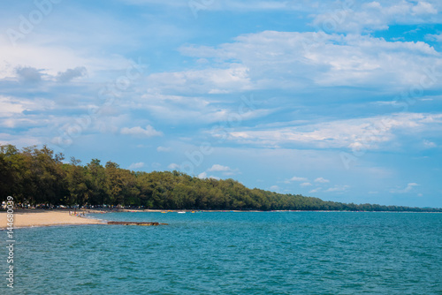  Pine trees along the beach and sea at east coast of Rayong , Thailand