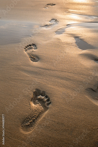 Footsteps in sand at sunset. Beautiful sandy tropical beach with footprints on the shore.