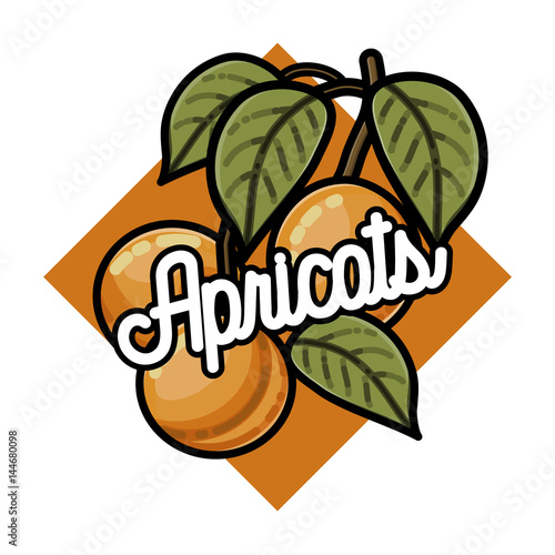 Color vintage fruits emblem