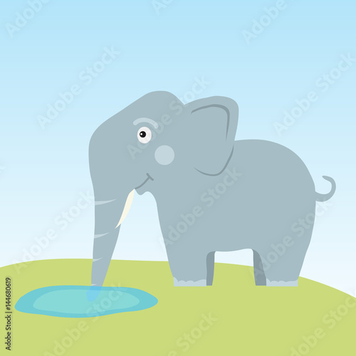 The elephant drinks water