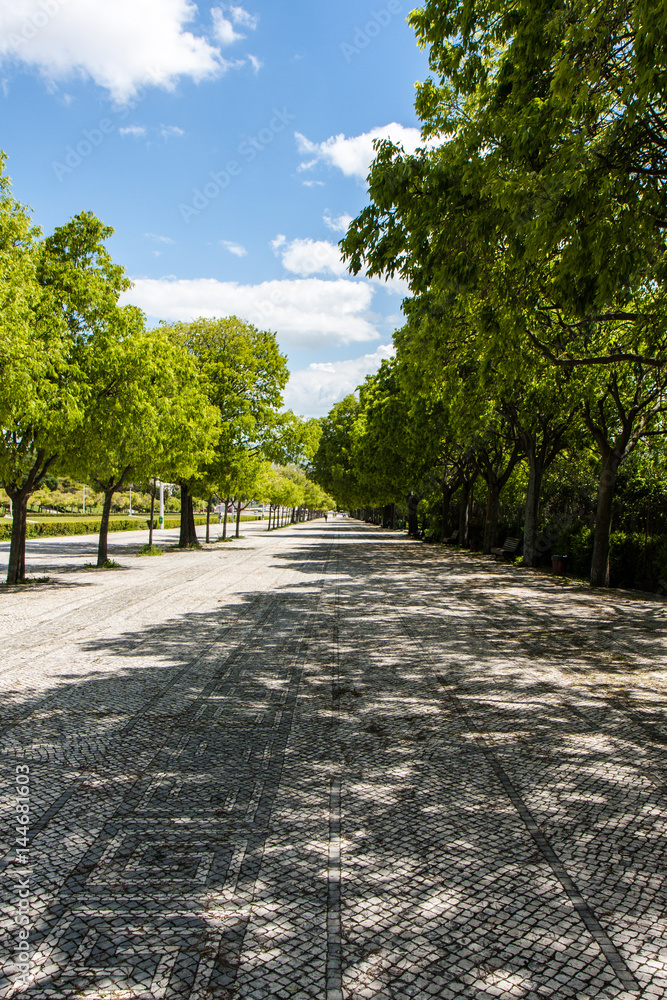 石畳の歩道 石畳の歩道