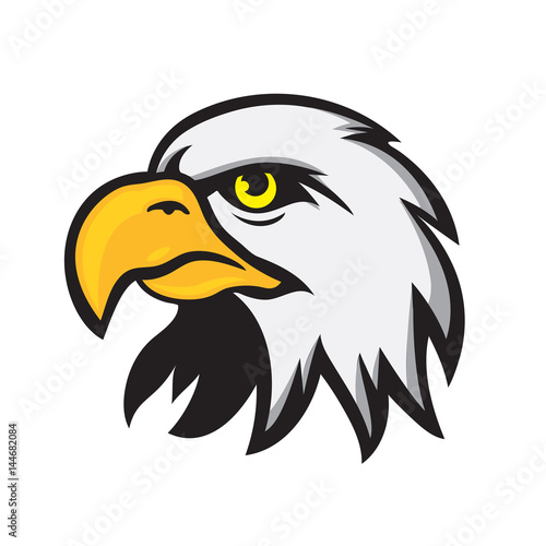 elegant eagle head