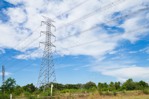 Wallpaper Mural High voltage post or High-voltage tower in a rice field Torontodigital.ca