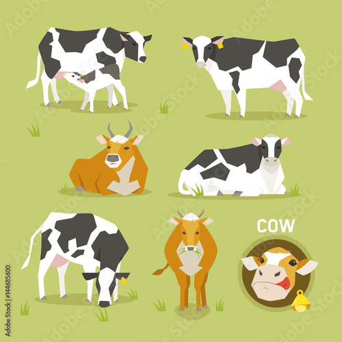 bull milk cow flat design illustration set