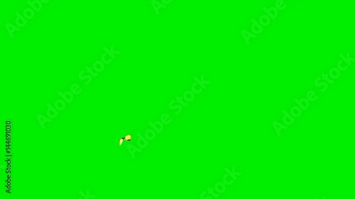 Animated flying yellow butterfly on a green background