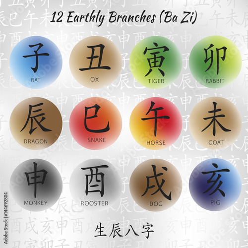 Set of symbols from chinese hieroglyphs. Translation of 12 zodiac animals branch, feng shui signs hieroglyph: Rat, Ox, Tiger, Rabbit, Dragon, Snake, Horse, Goat, Monkey, Rooster, Dog, Pig