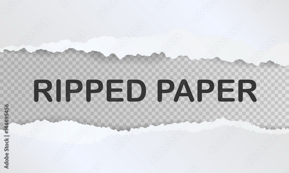 Realistic ripped paper