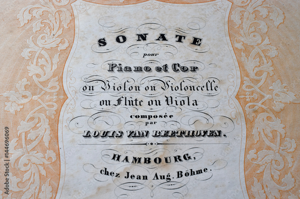 Naklejka premium Ludwig van Beethoven