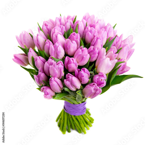 bunch Pink tulips isolated on white, Top view