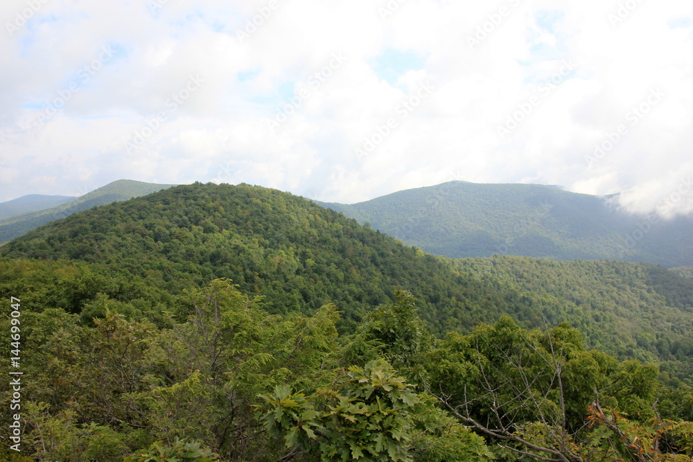 forest, appalachian trail,