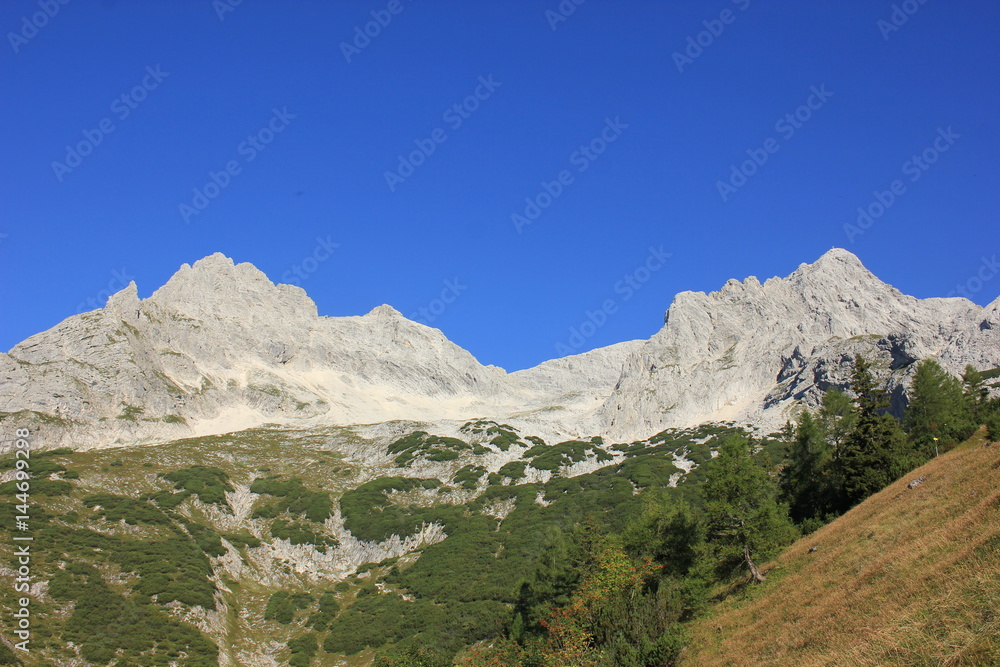 mountailn , the Alpes
