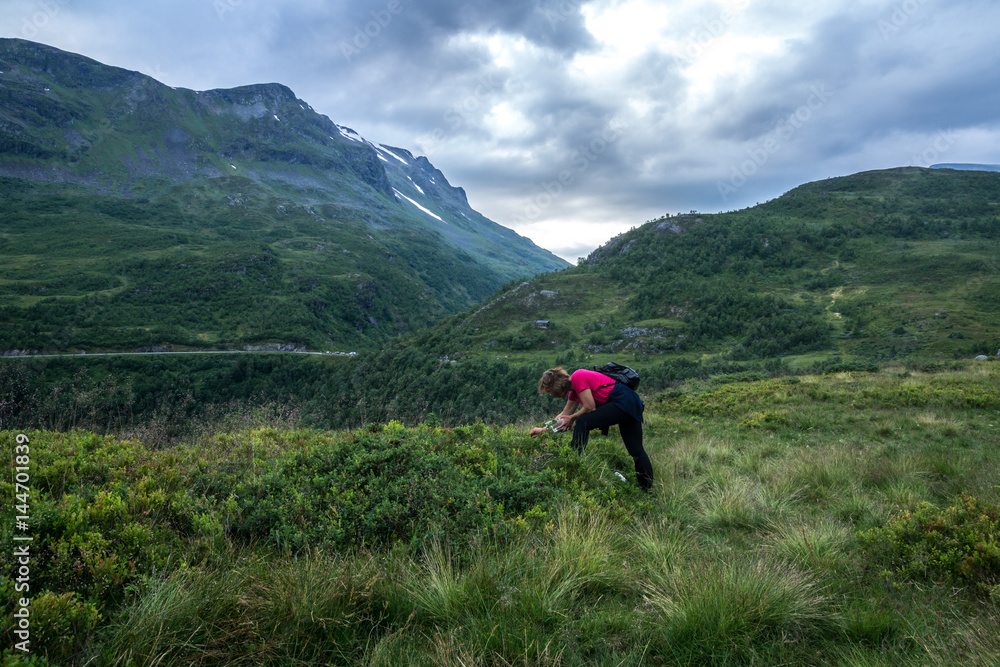 Heidelbeeren in Norwegen geniessen