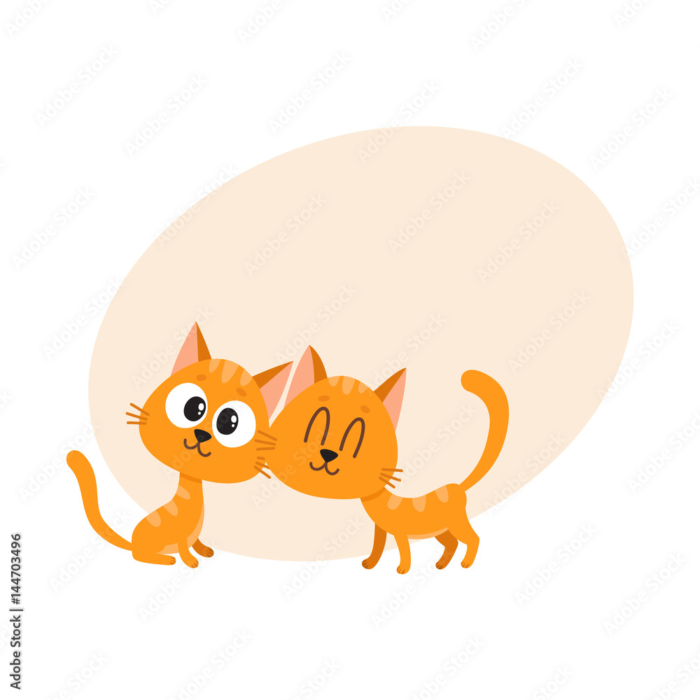 Two cute and funny red cat, kitten characters, looking curiously, interested, cuddling, cartoon vector illustration with space for text. Couple of cute little red cat, kitten characters