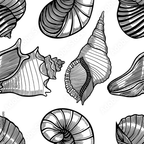 seamless pattern with sea shell
