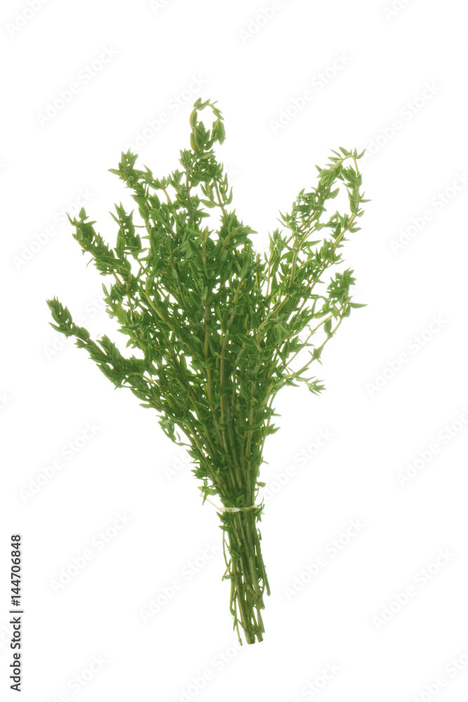 bunch of thyme isolated bunch of thyme isolated