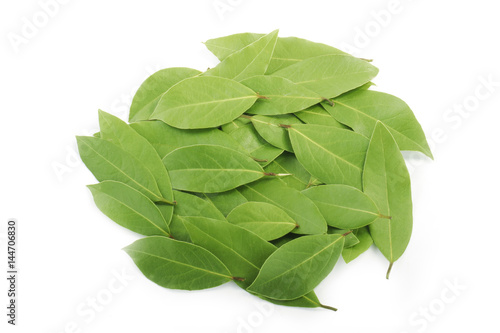 heap of laurel leaves isolated