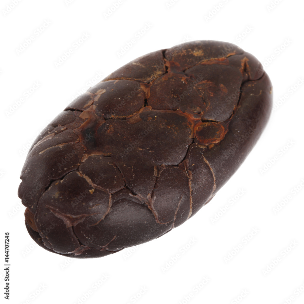 cacao corn isolated