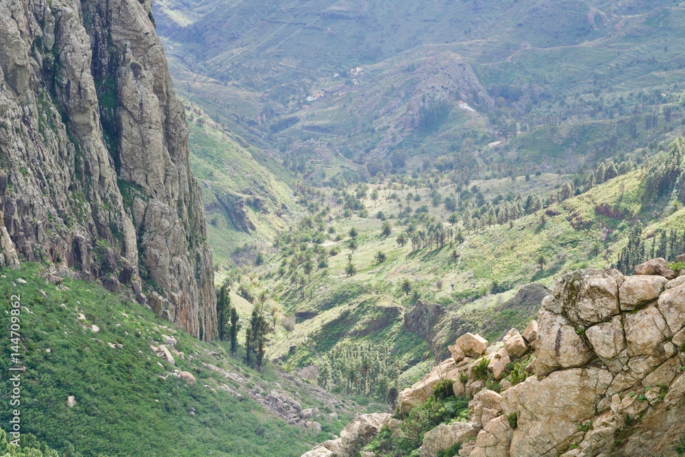 Naklejka premium palm valley of Los Roques