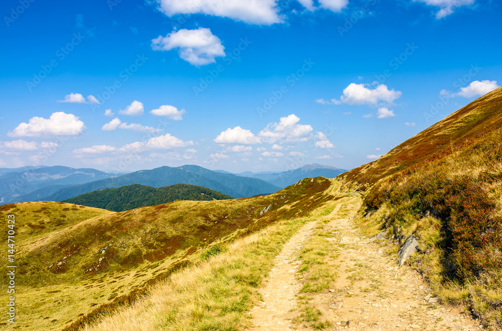 path through a meadows of mountain ridge