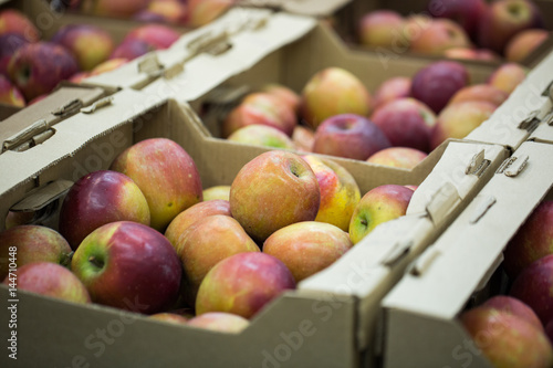 apples in crates on supermarket
