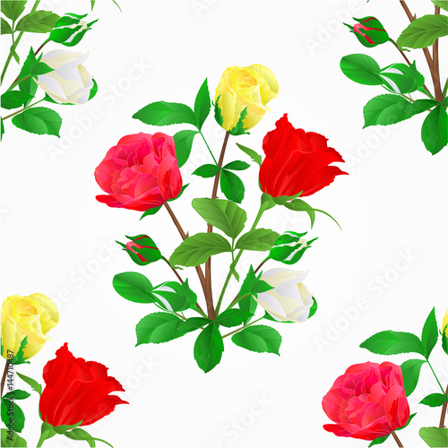 Seamless texture Bouquet of rosebuds red white and yellow roses festive background vector illustration