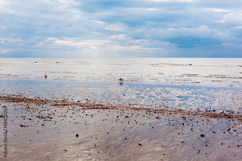 Low tide in Pevensey bay Low tide in Pevensey bay