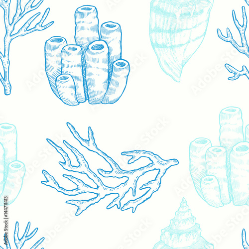 Marine life. Vector seamless pattern with hand drawn sea natural elements